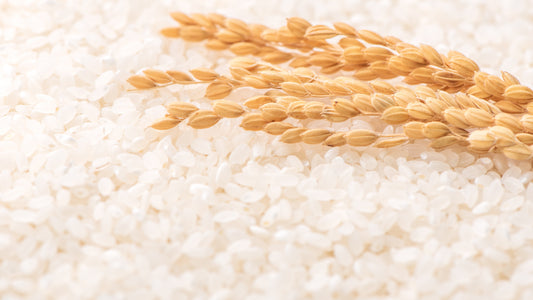 What Does Rice Mean to the Japanese People?