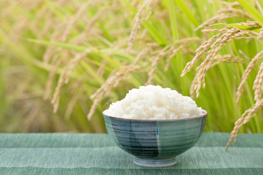 Understanding Japonica Rice Varieties: Uruchimai and Mochigome.